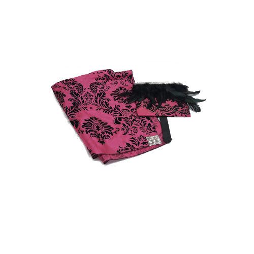 Fuchsia and Feathers